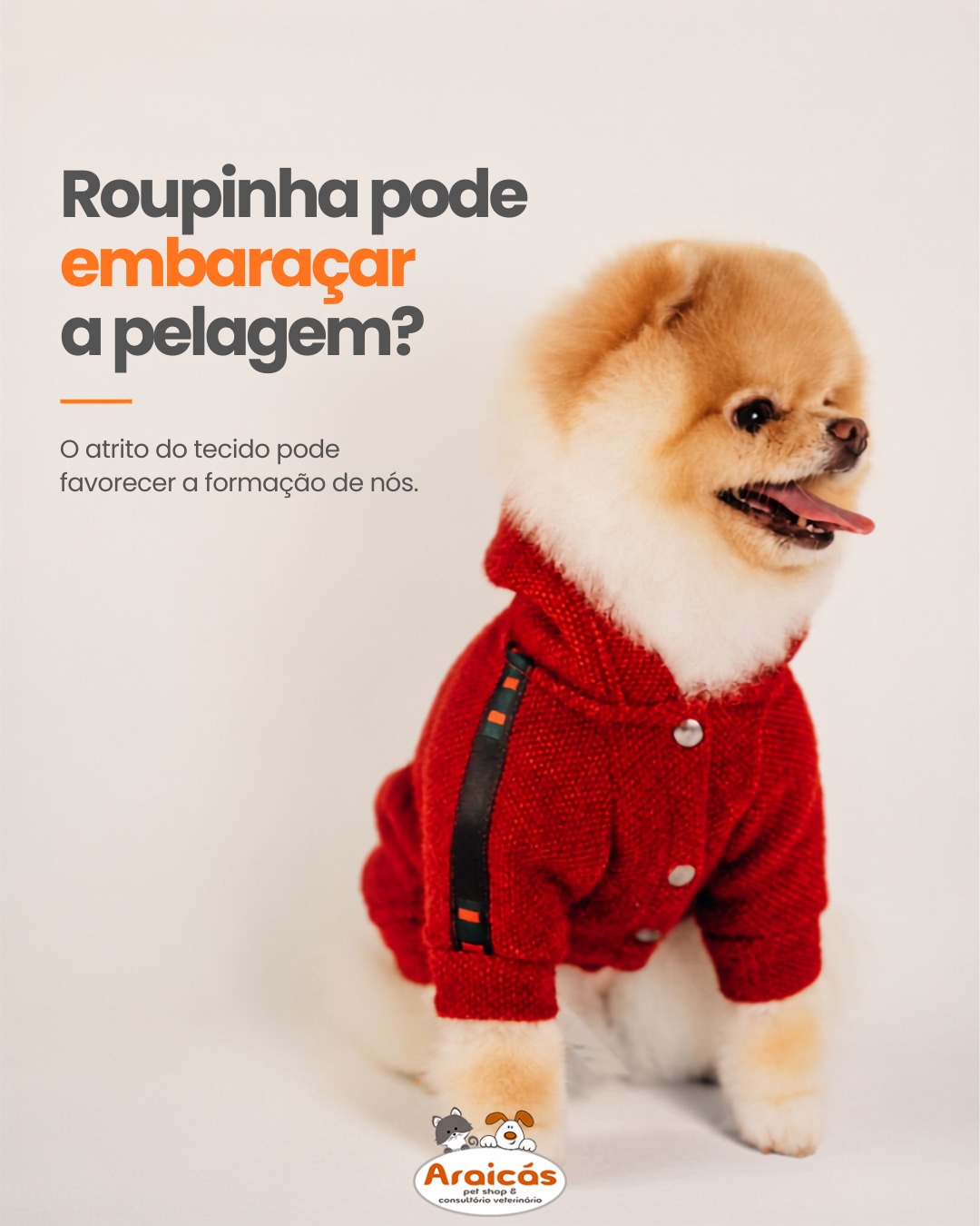 Roupinha pode embaraçar a pelagem?