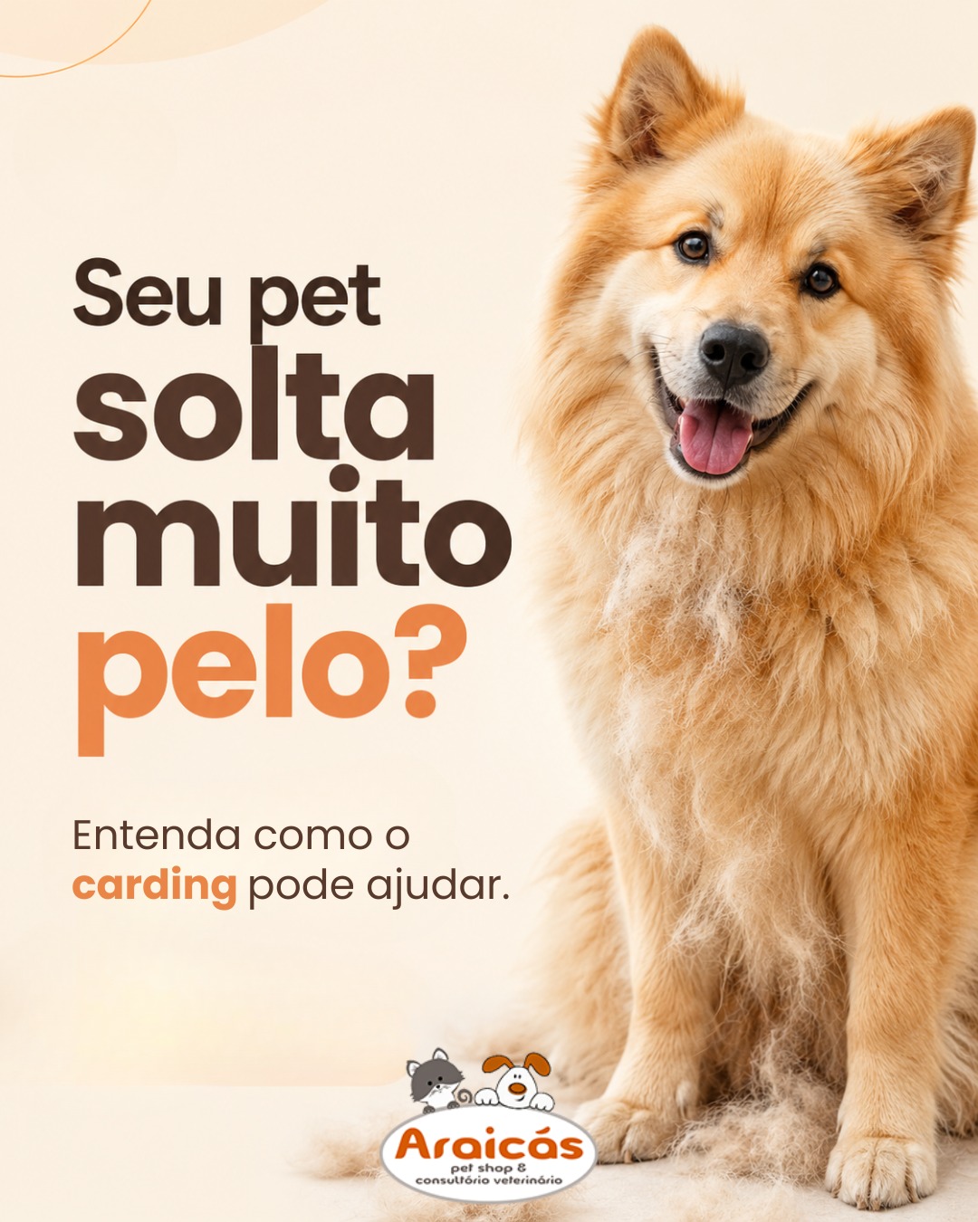 Seu pet solta muito pelo pela casa?