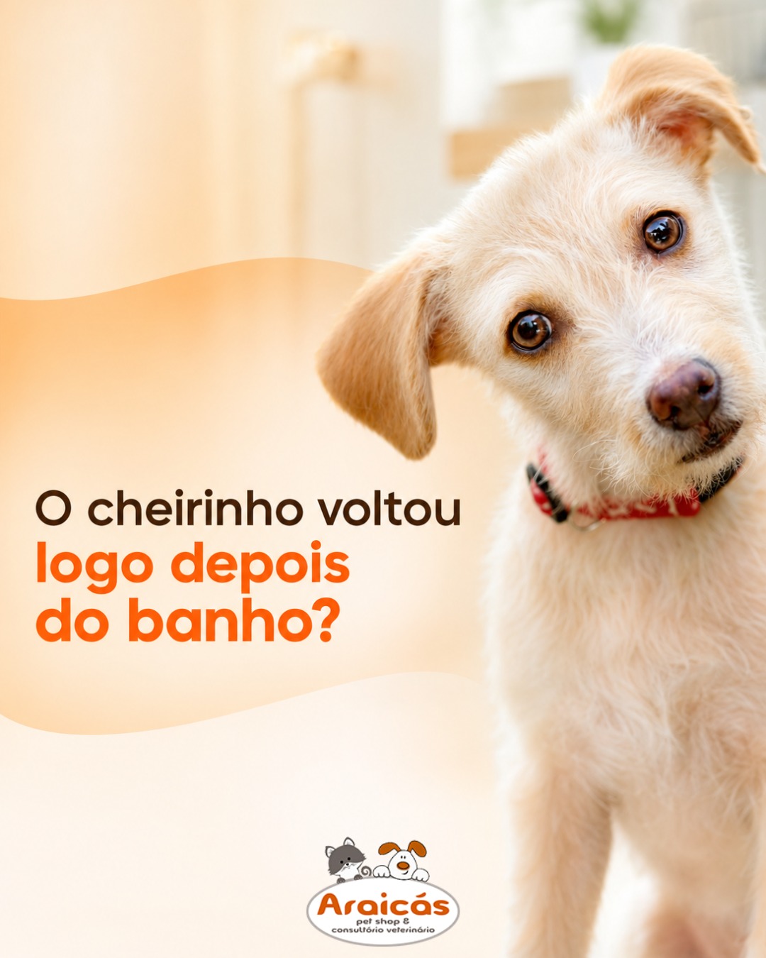 O cheirinho voltou logo depois do banho?