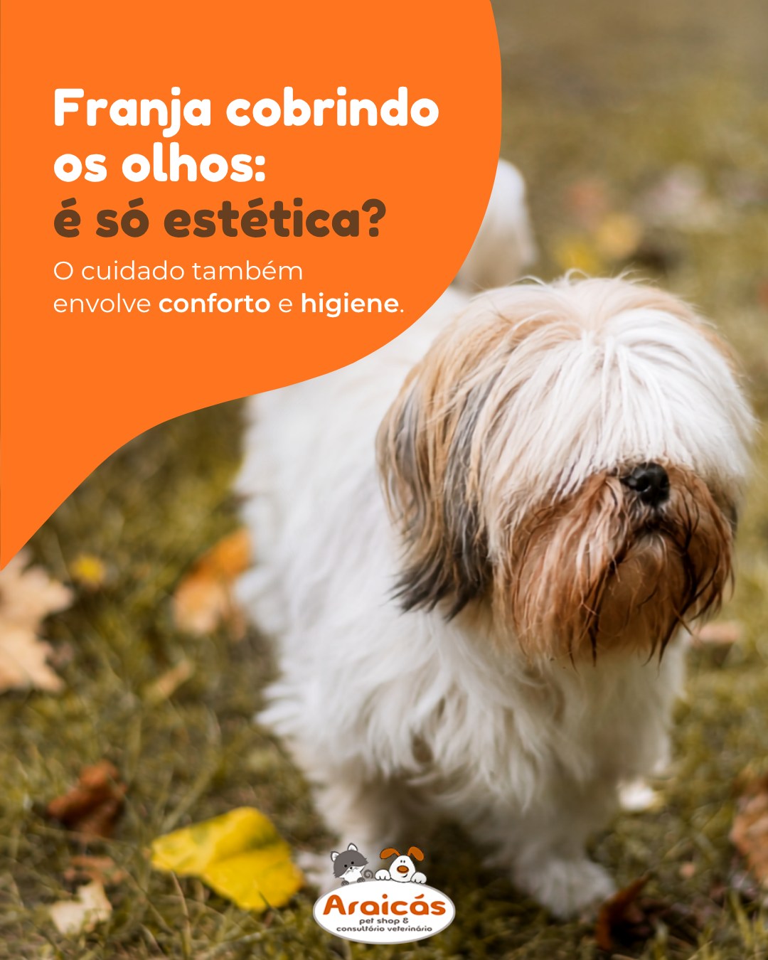 Franja cobrindo os olhos: é só estética?