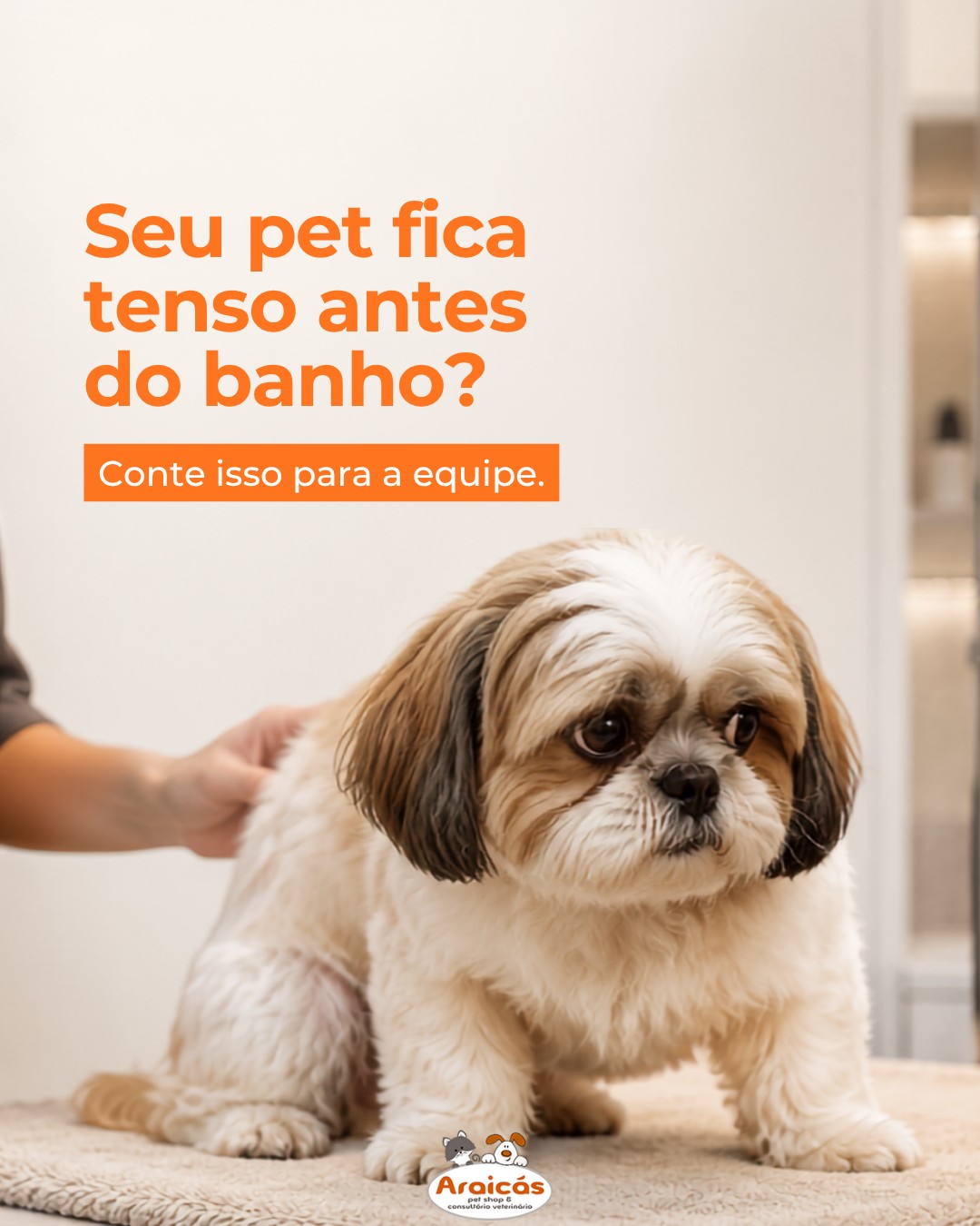Seu pet fica tenso antes do banho?